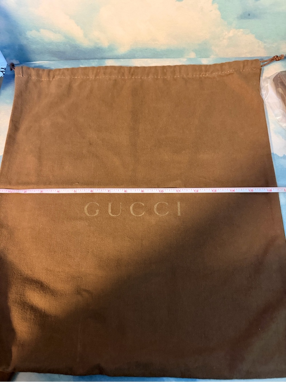 Gucci drawstring dustbag
